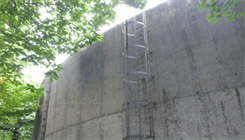 Vertical Fall Arrest Systems 